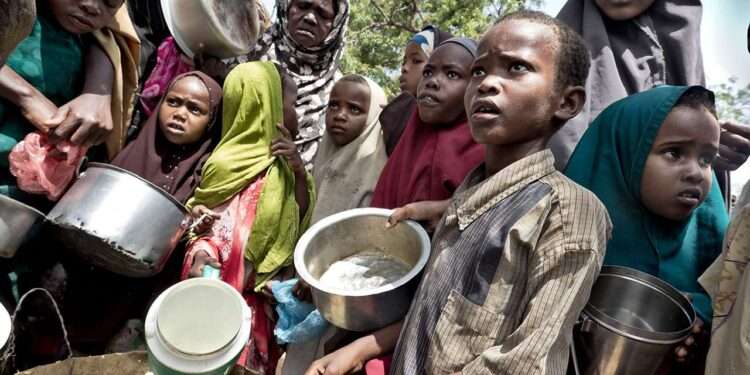 IRC Calls For Concerted Efforts In Fight Against Food Insecurity