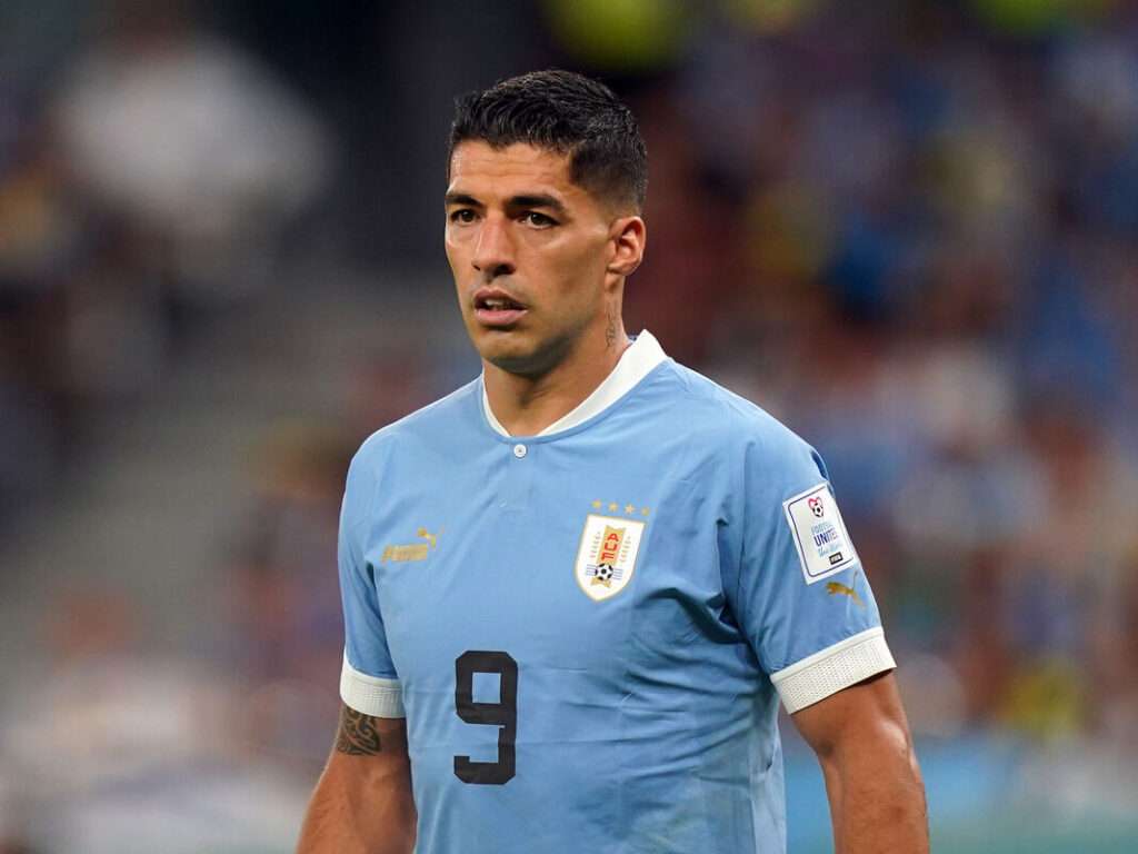 luis