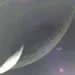 <strong>NASA’s Orion Capsule Heads Towards Earth</strong> 13 orion