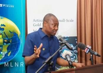 Chief Executive Officer of the Minerals Commission, Martin Kwaku Ayisi