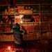 <strong>South Africa: Gov’t Threatened With Legal Action Over Power Crisis</strong> 12 BLACKOUT
