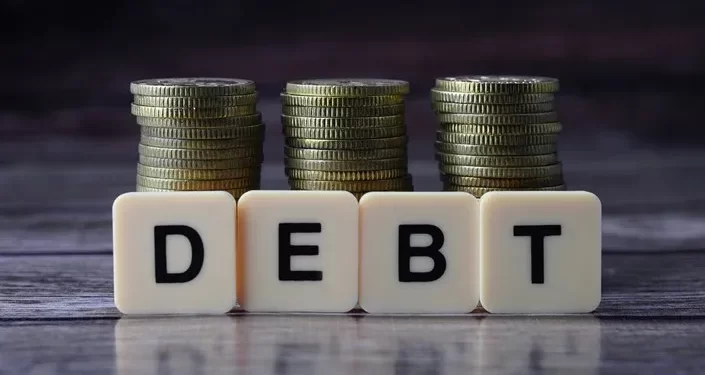 Domestic Debt Exchange Programme