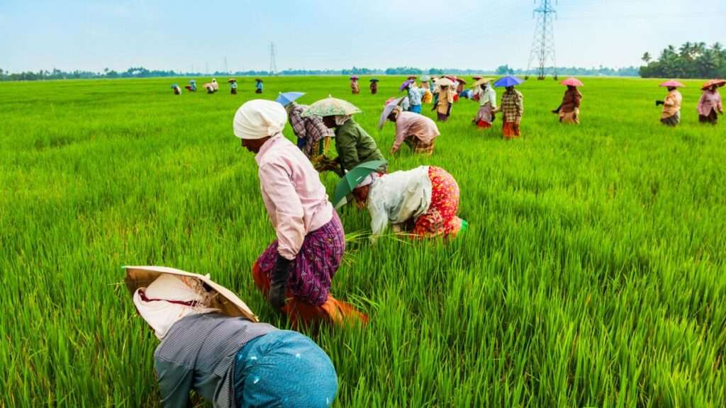 Farmers on farmland 1