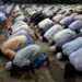 Muslims praying