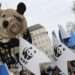 WWF Proposes ‘Debt-for-Nature’ to Zambia for Restructuring
