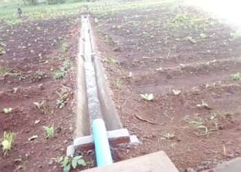 GIDA CEO Renews Commitment to Rehabilitate Abandoned Irrigation Schemes