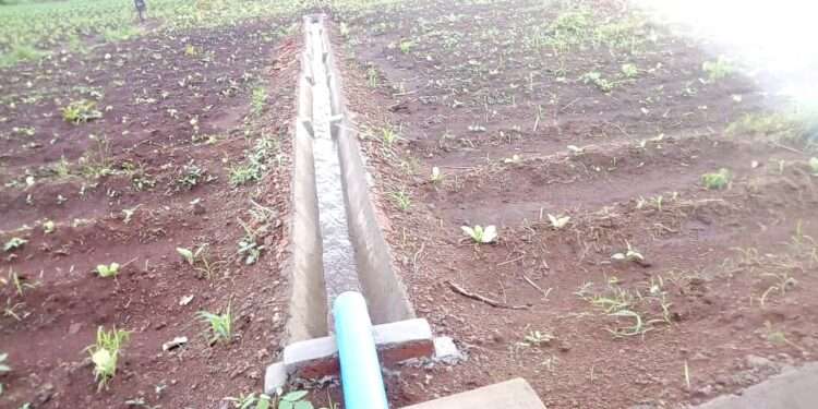 GIDA CEO Renews Commitment to Rehabilitate Abandoned Irrigation Schemes