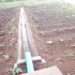 GIDA CEO Renews Commitment to Rehabilitate Abandoned Irrigation Schemes