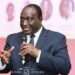 Ga People Will Feature Prominently In My Governments- Kyerematen To Ga Mantse 11 Alan Kyerematen