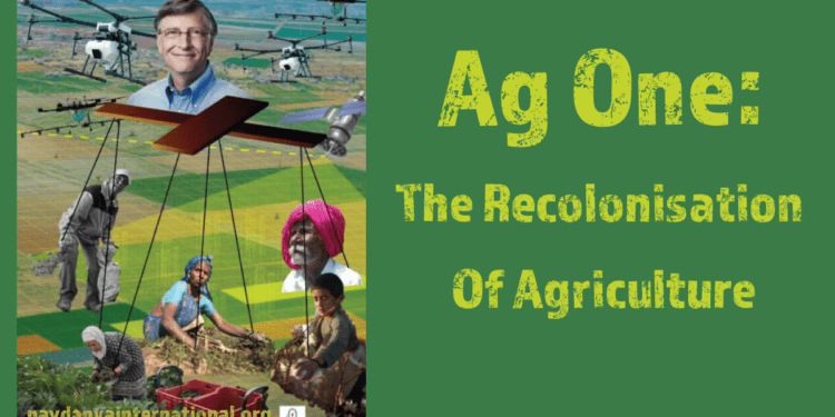 Gates Ag One Awards $35 million To ENSA, Aims To Support Projects To develop Self-Fertilizing Crops For African farmers 1 Gates Ag One awards $35 million To ENSA, Aims To Support Projects To develop Self-Fertilizing Crops For African farmers