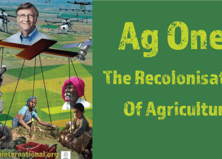 Gates Ag One awards $35 million To ENSA, Aims To Support Projects To develop Self-Fertilizing Crops For African farmers