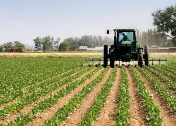 Agric Sector Witnesses Significant Growth, Exceeds Govt's Annual Growth Target By 6%- MoFA 1 Agric Sector Witnesses Significant Growth, Exceeds Govt’s Annual Growth Target By 6%- MoFA