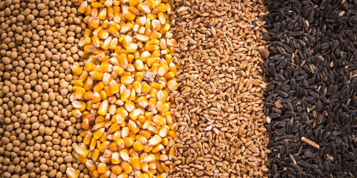 There is the Need to Develop an Efficient Seed System to Manage Climate Change - Prof Paul 1 There is the Need to Develop an Efficient Seed System to Manage Climate Change- Prof Paul