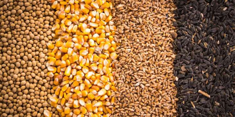 There is the Need to Develop an Efficient Seed System to Manage Climate Change- Prof Paul