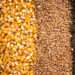 There is the Need to Develop an Efficient Seed System to Manage Climate Change - Prof Paul 15 There is the Need to Develop an Efficient Seed System to Manage Climate Change- Prof Paul