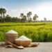 Agric Ministry Urged To Focus On Local Rice Production, As Rice Import Bill Hits GH¢6.8bn 16 Agric Ministry Urged To Focus On Local Rice Production As Rice import bill hits GH¢6.8bn