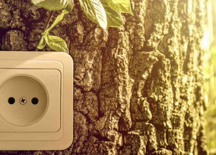 <strong>Africagogreen Fund Closes US$47 Million In New Equity Investments</strong> 1 Africagogreen Fund Closes US$47 Million In New Equity Investments