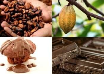 We Produce Cocoa, We Should Have Cheap Products To Buy – Alex Narh