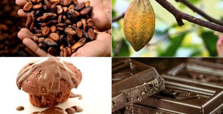 We Produce Cocoa, We Should Have Cheap Products To Buy - Alex Narh 1 Government asked to make cocoa products affordable for purchase