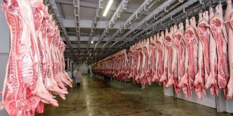 Ministry of Food And Agriculture Denies Agreement To Import Pork From USA 1 File photo.