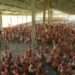 Rearing For Food And Jobs: MOFA Supports Two Poultry Farms To Scale Up Production