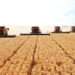 <strong>Ghana’s Agriculture Mechanization Gets $29 million Boost- Akufo-Addo</strong> 12 124774082 combine gettyimages 129215813