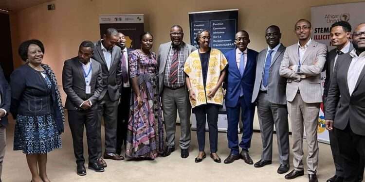 Coalition for Dialogue on Africa, African Union Commission and AfDB teams at the launch ceremony of the AFIAP project AT at Addis-Ababa.