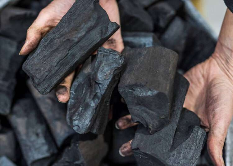 Nigerian Exporters Eye $5.4 billion Charcoal Market as Federal Gov’t Places a Conditional Resumption on Charcoal Exportation 1 CHAR LUMP20