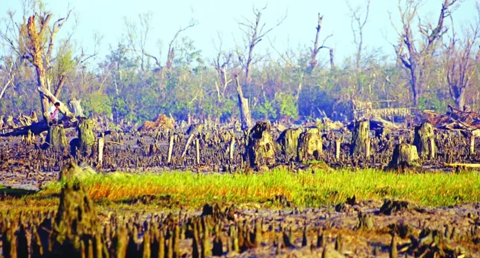Climate Prosperity Plan To Be Held Tomorrow