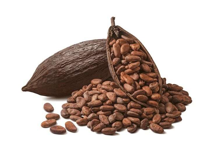 Smuggling of Cocoa Advances To The National Capital, COCOBOD Intercepts 1500 Bags Being Smuggled 1 Cocoa smuggled out of Ghana on the rampancy