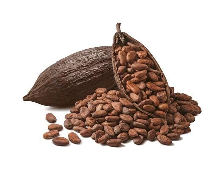 Cocoa smuggled out of Ghana on the rampancy