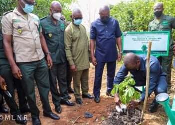 Seedling Contractors Association Demands Payment Of GHC2.3 Billion For Past Celebration Of Green Ghana Day