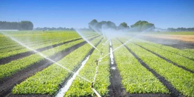 Government Should Invest More In Irrigation Mechanisms To Make The Agricultural Sector More Resilient- Dr. Nyaaba 1 Ghana's Agricultural Sector needs irrigation mechanisms