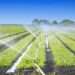 Government Should Invest More In Irrigation Mechanisms To Make The Agricultural Sector More Resilient- Dr. Nyaaba 11 Ghana's Agricultural Sector needs irrigation mechanisms