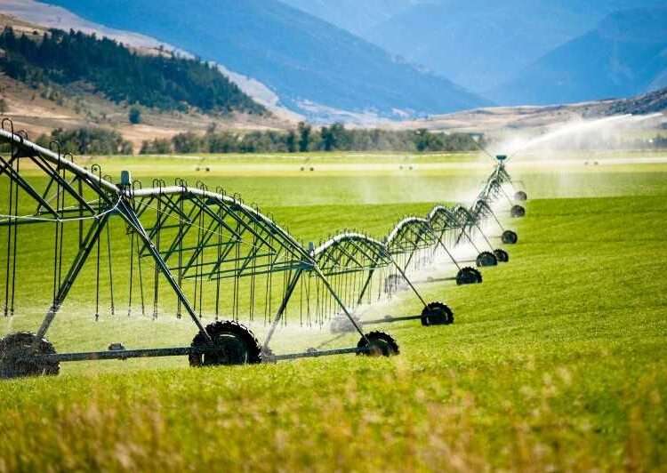 <strong>Ketu North Rice Farmers to Benefit from Water-Saving Rice Irrigation Technology</strong> 1 Ketu North Rice Farmers to Benefit from Water-Saving Rice Irrigation Technology