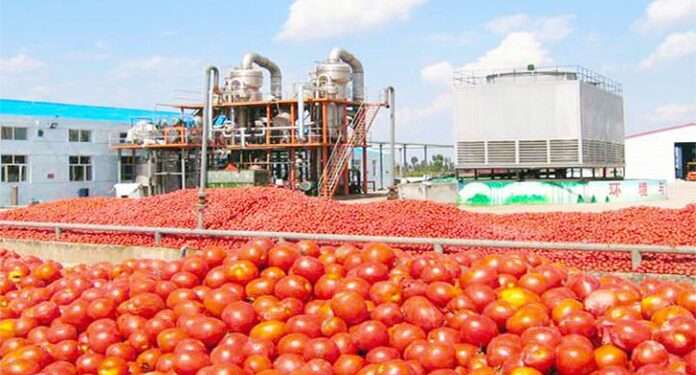 Hope Beckon The Tomato Industry As GB Foods Plans To Invest US$70million For Major Boost