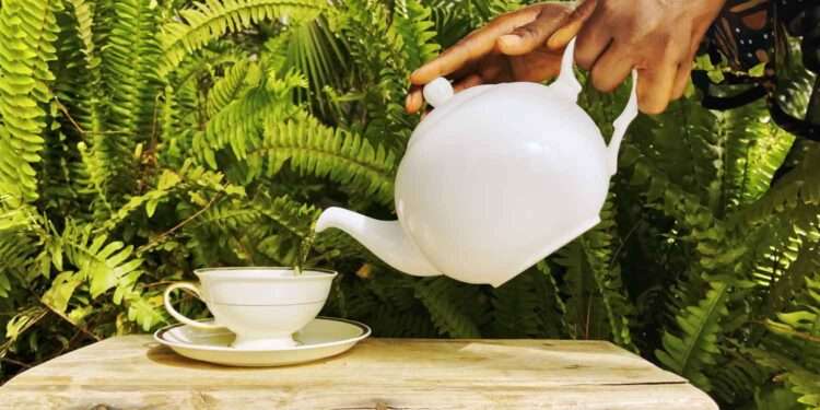 Digital Marketing Key to Luxury Tea Start-Up Success- AfDB