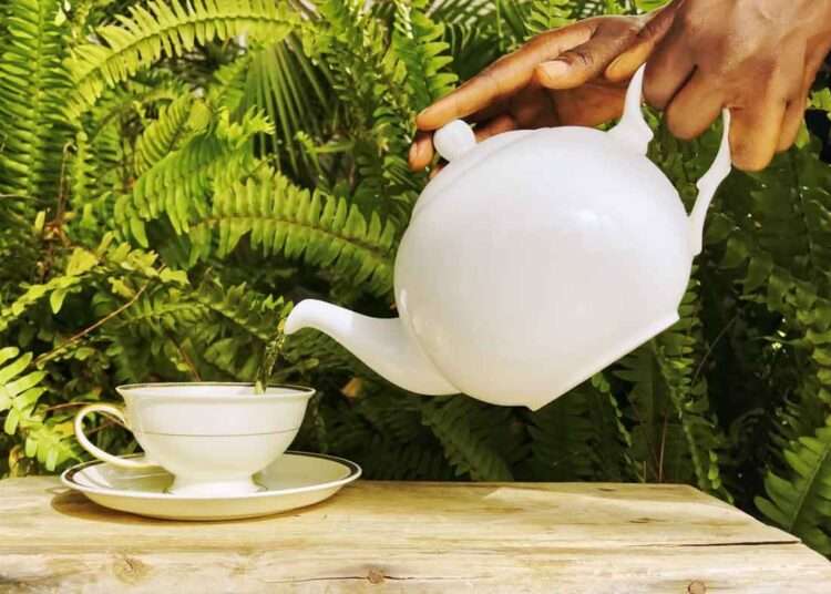 Digital Marketing Key to Luxury Tea Start-Up Success- AfDB 1 Digital Marketing Key to Luxury Tea Start-Up Success- AfDB