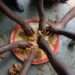 <strong>DBG to Enhance Food Security in the Country through GHC500 million Investment in Key Commodities</strong> 14 food security 1