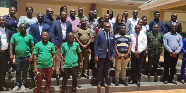 Ghana: African Development Bank and CIF Enhance Gender-Responsive Monitoring, Evaluation And Reporting Capacity In Forestry Sector