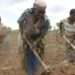 <strong>Smallholder Farmers Must Move from Peasant to Industrial- Dean of DIPC</strong> 14 Smallholder Farmers Must Move from Peasant to Industrial- Dean of DIPC