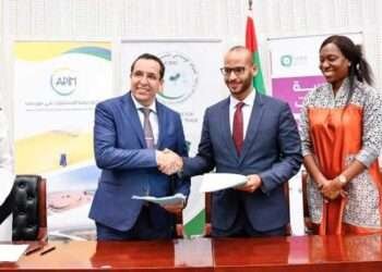 AfDB and BCI Group Sign US$ 485,000 AFAWA Technical Assistance Agreement to Promote Financial Inclusion of African Women's Enterprises