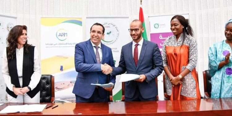 AfDB and BCI Group Sign US$ 485,000 AFAWA Technical Assistance Agreement to Promote Financial Inclusion of African Women's Enterprises