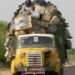 Africa’s Logistics Sector Set to Deliver Results As Free Trade Agreement Kicks In- New Research