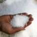 Sugar 1681155535701 1681155536000 1681155536000
