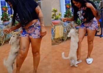 Ghanaian comedienne and socialite, Afia Schwarzenegger