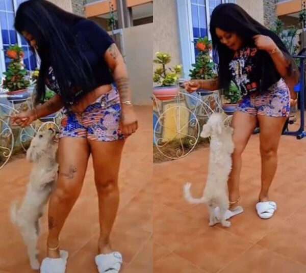Ghanaian comedienne and socialite, Afia Schwarzenegger
