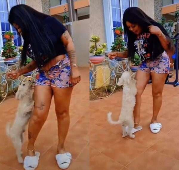 Ghanaian comedienne and socialite, Afia Schwarzenegger