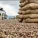 Unchecked Raw Cashew Exports Threaten Jobs and Undermine 24-Hour Economy Policy – ACPG Raises Alarm