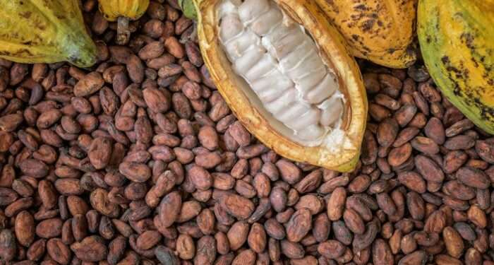 Cocoa Prices Hit $10,000 a Ton as Supply Concerns Mount